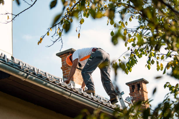 Best Steel Roofing  in West Canton, NC